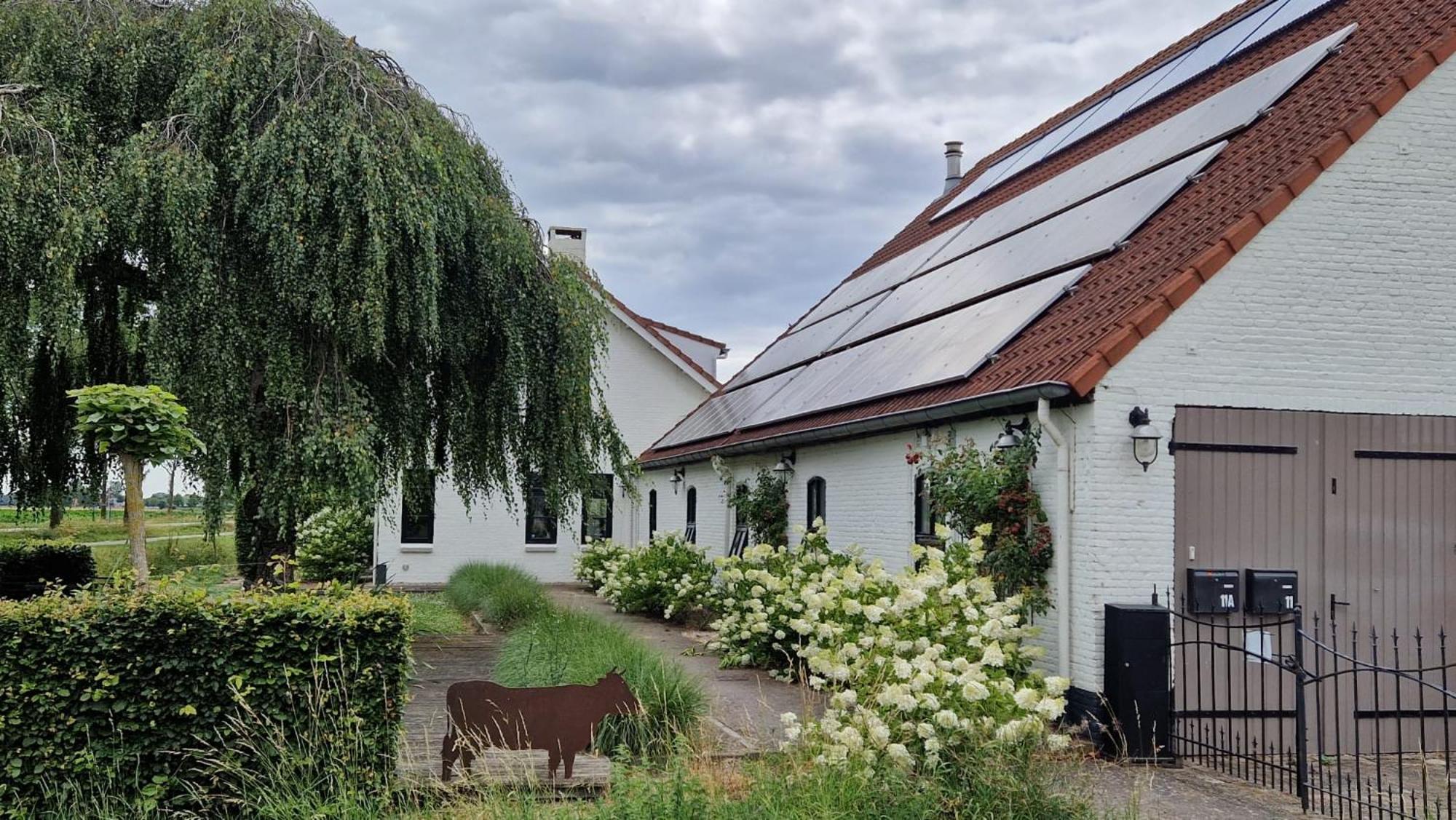 Mariafarm Bed & Breakfast Zevenbergen Dış mekan fotoğraf